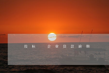投标 企业贷款逾期 投标 企业贷款逾期